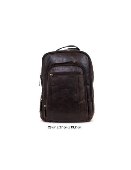 Brown leather Backpack
