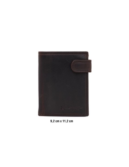 Mallette de peau marron AC-VINTAGE1-BROWN