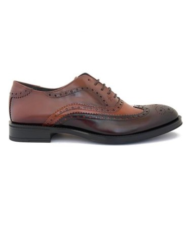 brown leather oxford shoes NOVIGAM-MARRON